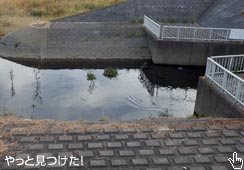 ȂƎv狏I