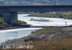 ̃At