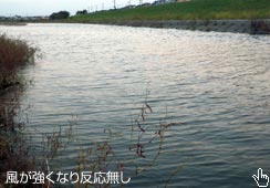 Ȃ蔽Ȃ