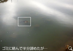 S~ɗŔ߂