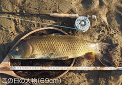 ő69cm