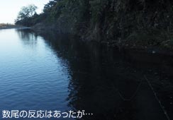 ͏oqbg
