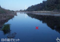 Ō͖ڂ̑OŃqbg