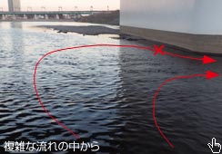 傫J[u̐Ńqbg