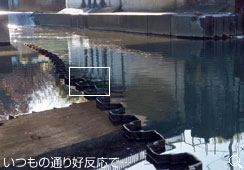 ʂ5Qbg