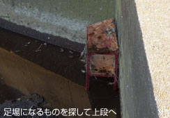 i悶o邽߂̑
