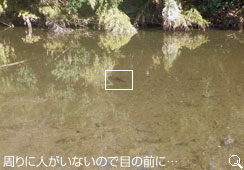 ڂ̑Oւ̉V