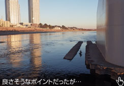 |Cg͂悩