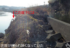 ؂藧Rɂ͊e
