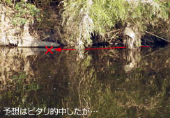 \ʂ肾