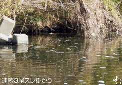 AR̃X|