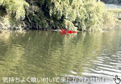 悭qbg킹؂