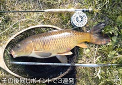 㗬͔iV