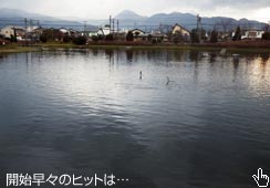 n߂͂悩c