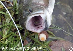 ̃X|肪A