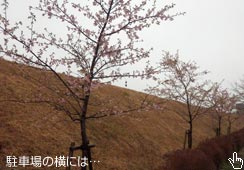 ԏꉡ̐Í