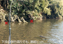 ̉łQA