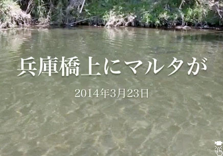 今年の初物