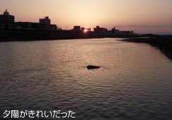 [zꂢ