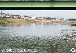 ꡂޕŔo