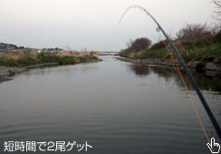 ŌɂQǉ