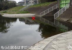 Ȃ