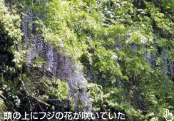 tW̉Ԃ