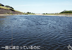 g苾ɂȂ