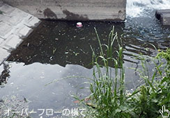 Ō͏ȃ|Cg