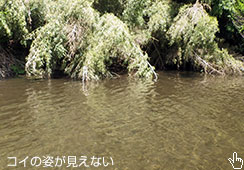 RC̎pȂ
