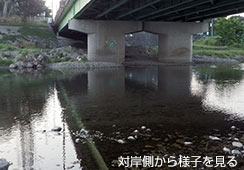 ̉E݂