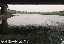 ̉łRqbg