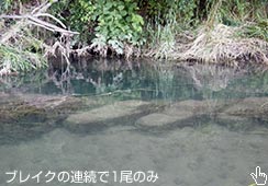 5qbg荞߂̂1