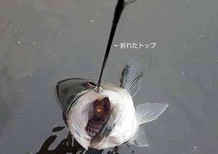 ܂ꂽI