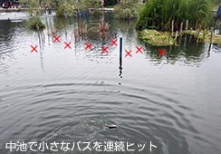 ȃoXƗV