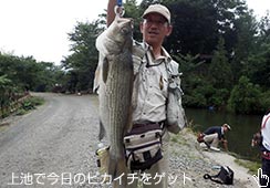 ̃sJC`