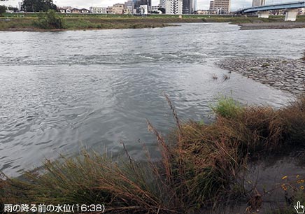 ひと雨降った後に増水