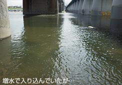 荞ł