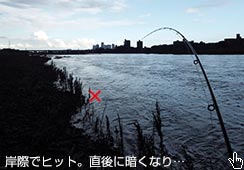 qbgɉJ~肾