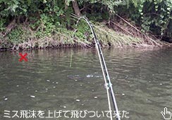 ŌɂPǉ