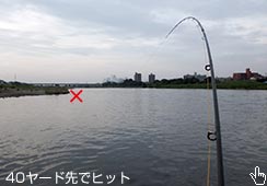 40[hŃqbg