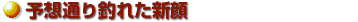 \zʂނꂽV