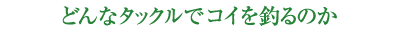 ǂȃ^bNŌނ̂