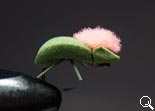 BF Beetle Dark-Olive
