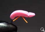 BF Beetle Pink