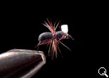 BF Bomb (Black)