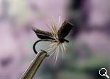 BF Midge Dark-Brown