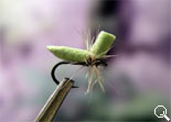 BF Middge Olive