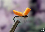 BF Middge Orange