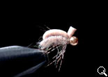 BF Nymph BeadsHead (Tan)